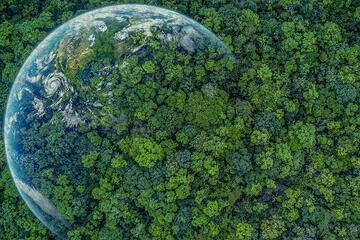 A crucial step towards sustainability for Anodica Trevigiana